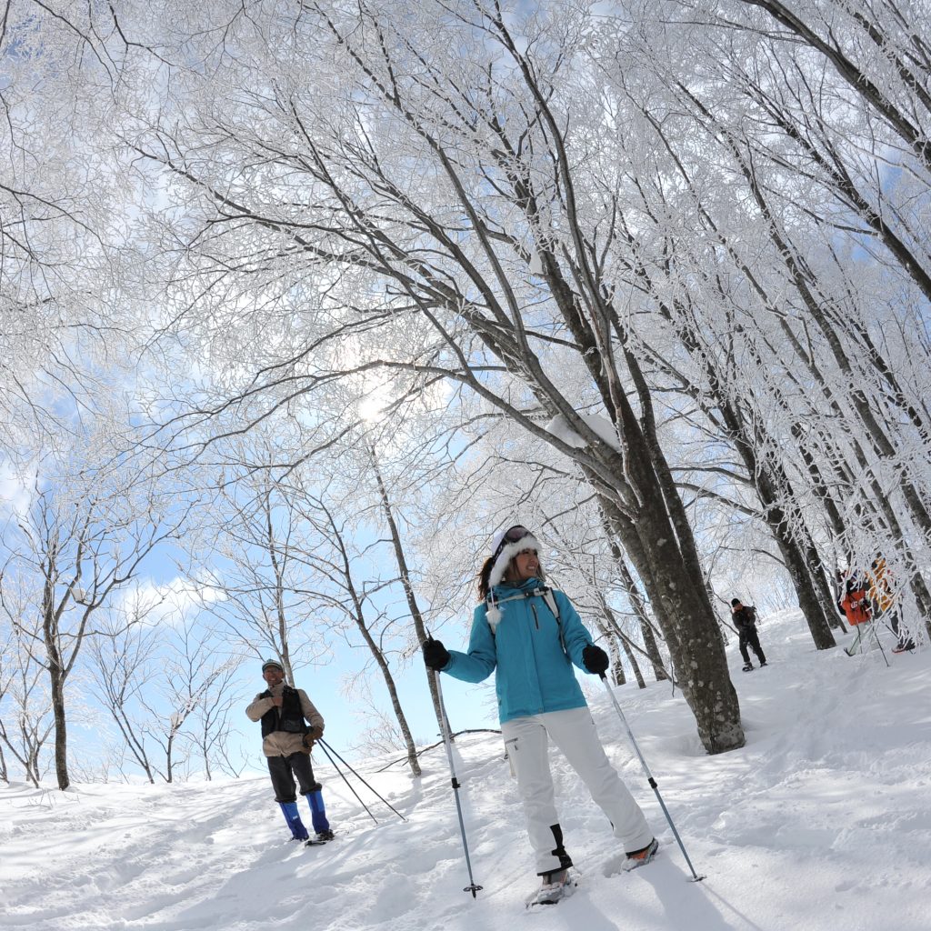 4 Days 3 Nights Hakuba Cultural Experience Triangle Travel