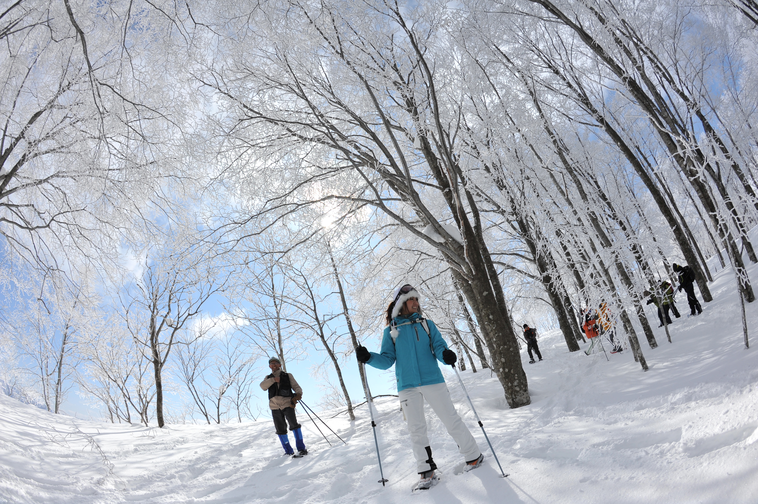 4 Days 3 Nights Hakuba Cultural Experience Triangle Travel